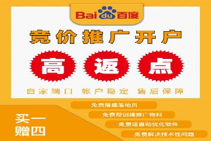 百度竞价广告投放全解析：成功案例揭秘